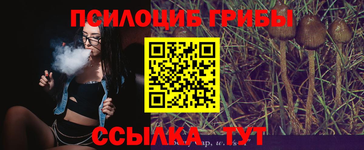 Псилоцибиновые грибы прущие грибы Псков